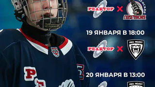 Бесплатный хоккей в Нижнекамске до конца сезона