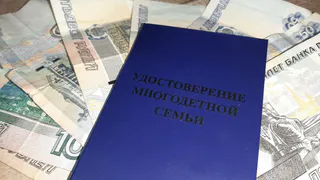 Проезд, лекарства, льготы… Какие права имеют многодетные нижнекамцы?