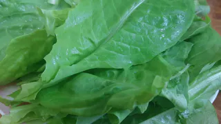 Питание по сезону: зелень мая