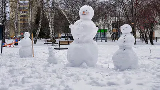 Тёплая, но снежная зима: прогноз профессора КФУ для Татарстана