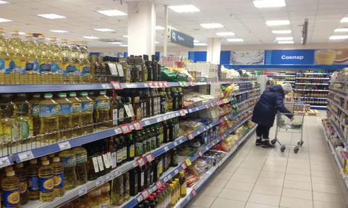 Где в Нижнекамске дешевле всего покупать продукты из «социальной корзины»?