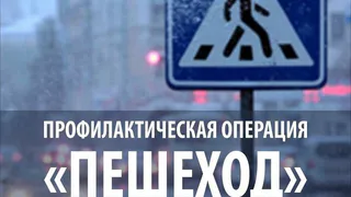 ГИБДД Нижнекамска начинает операцию «Пешеход»