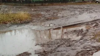 Нижнекамка: «Пора навести порядок!»