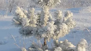В ближайшие дни татарстанцам не стоит ждать снегопада