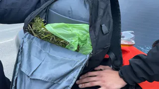 В Татарстане полицейские задержали сборщика конопли