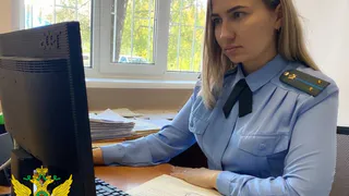 Запрет на сделку с авто, землей, запрет на выезд и исполнительский сбор