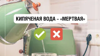 Кипяченая вода – мертвая?