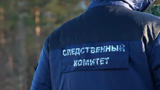 В Казани поймали жителя Уфы, пытавшегося растлить девочку