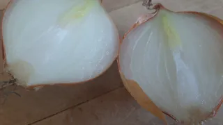 Как выбрать лук?
