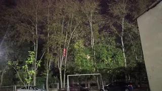 И вновь жалобы: «Обрежьте тополя, нам нечем дышать летом!»