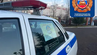 За три дня автоинспекторы Нижнекамска задержали 14 пьяных водителей
