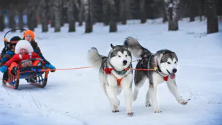 Елочные городки в Нижнекамске будут работать до весны
