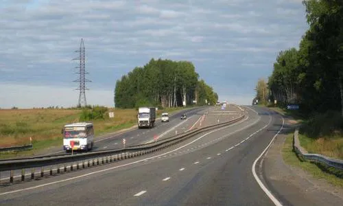 На трассе М-7 могут появиться переходы для животных