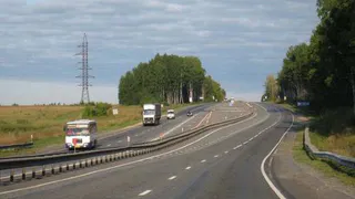 На трассе М-7 могут появиться переходы для животных