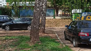 В Нижнекамске на головы людей и автомобили падают ветви деревьев 