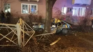 Разогнался и влетел в дерево