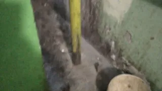 Денег нет, но вы держитесь!