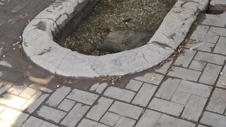  «В поселке Строителей родник затопило, прочистите, пожалуйста!»
