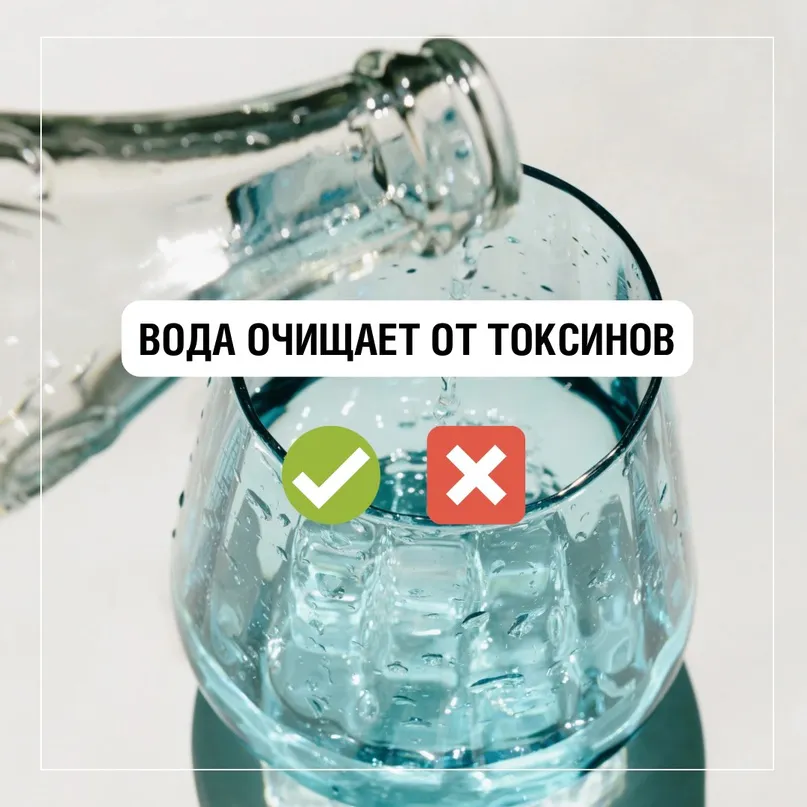 Вода очищает организм от токсинов