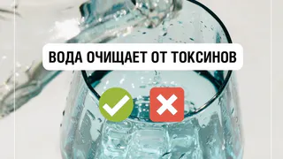Вода очищает организм от токсинов