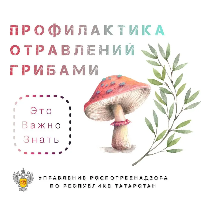 Профилактика отравлений грибами