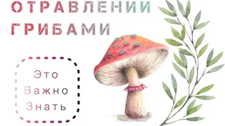 Профилактика отравлений грибами