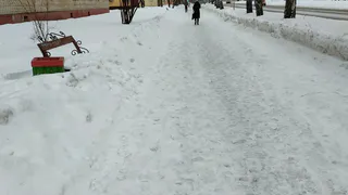 Жительница Нижнекамска просит очистить пешеходную дорогу от снега
