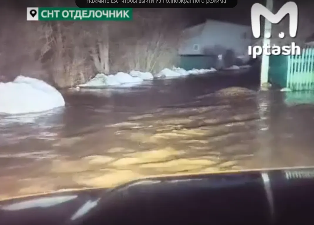 Жители СНТ "Отделочник" в Челнах всю ночь спасали кошек, собак и соседей во время потопа