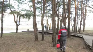 Нижнекамские дезинсекторы вышли на борьбу с клещами