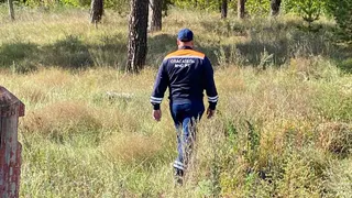 В Елабужском районе в лесу заблудились две пожилые женщины в возрасте около 70 лет