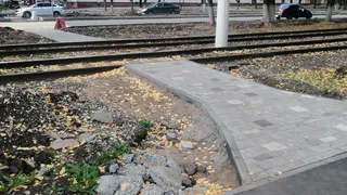 «Доведите до конца работу хотя бы на одном из пешеходных переходов»