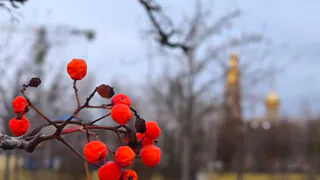 Погода в Нижнекамске на пятницу, 7 ноября