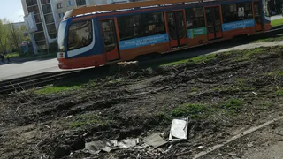 «Деревьев нет, мусор лежит»