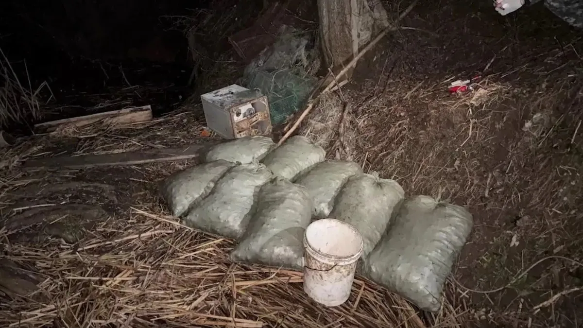 Отец и сын незаконно выловили более 12 тысяч раков в Нижнекамском водохранилище