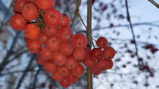 Завтра в Татарстане потеплеет до -3 °С