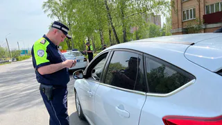 В этом году автоинспекторы пресекли почти 300 нарушений водителями правил проезда пешеходных переходов
