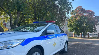 С начала года в 16 ДТП травмированы 16 детей, один погиб