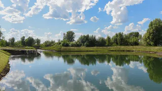 Нижнекамский экопарк победил в республиканском голосовании по благоустройству общественных пространств