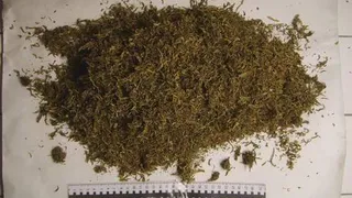 88 свёртков: в Нижнекамске задержали двоих друзей наркодельцов 