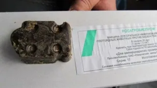 В Нижнекамский район поступило 10 тысяч доз вакцины от бешенства