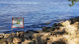 «Купание запрещено»