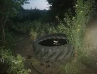 Полуторагодовалый малыш утонул в полной воды покрышке
