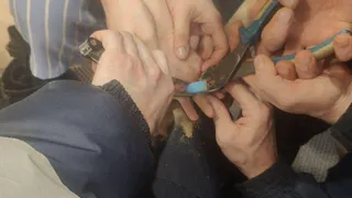В Казани спасатели дважды за сутки помогли снять застрявшие кольца

