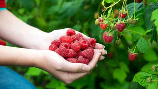 Стало известно, какие продукты помогают в борьбе с депрессией