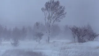 Гололед, снег, морось, похолодание и сильный ветер