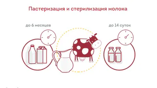 Пастеризация или стерилизация молока?