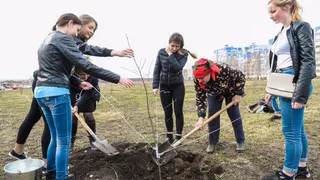 Кому отдых, кому – труд