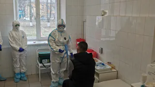 В Татарстане ждут роста мышиной лихорадки из-за снежной зимы