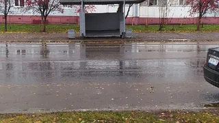 Пешеходки нет, люди дорогу перебегают, остановочный павильон нуждается в ремонте