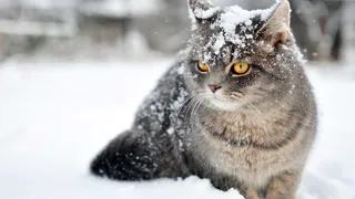 В Нижнекамске сегодня пасмурно и снежно